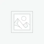 Christmas Tree - Ontario premium